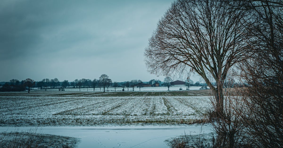découvrez le land rover velar, un suv alliant design élégant, technologie innovante et performances exceptionnelles pour une expérience de conduite unique.