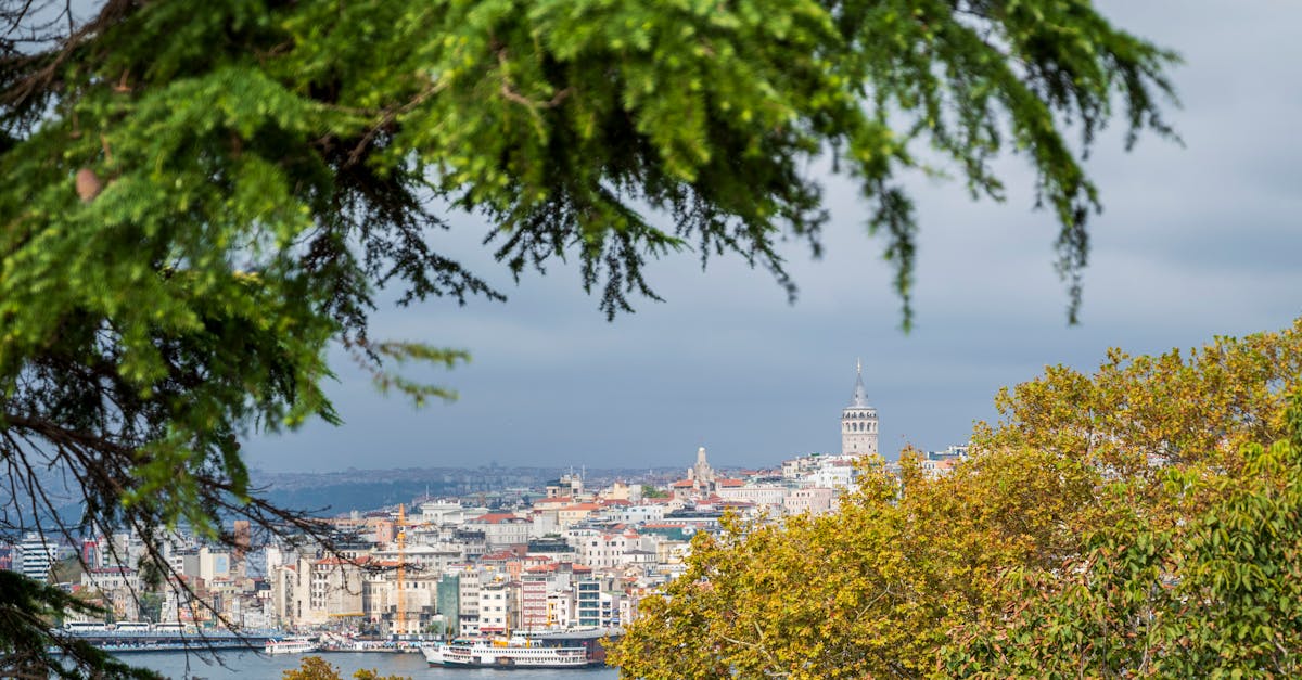découvrez le land rover velar, un suv alliant design élégant, technologie avancée et performances tout-terrain exceptionnelles pour une expérience de conduite unique.