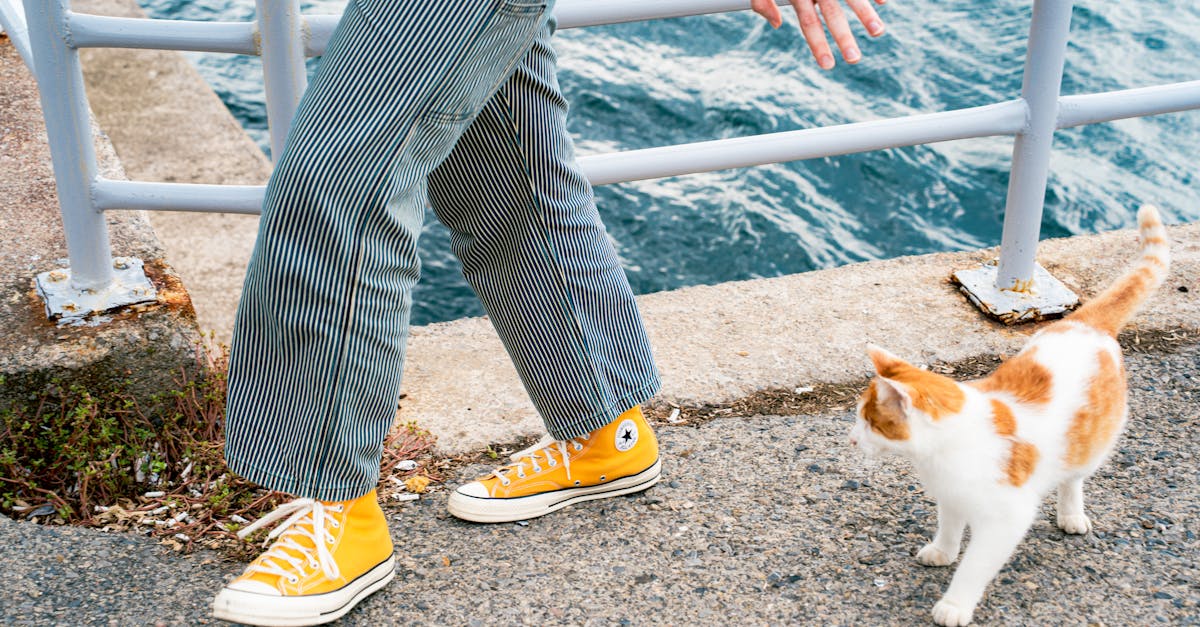 découvrez mael pilven, passionné par l'innovation et la créativité, explorant de nouvelles perspectives pour inspirer et transformer.