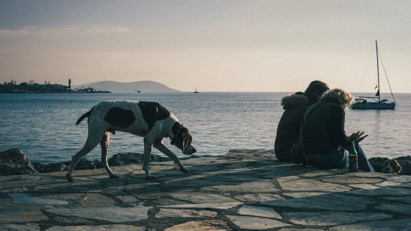 Pierre Gasly sélectionné par Renault pour éduquer les jeunes, découvrez son approche