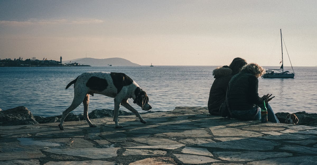 Pierre Gasly sélectionné par Renault pour éduquer les jeunes, découvrez son approche