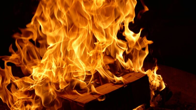 Les atouts de la Renault Zoe pour les novices en voiture électrique