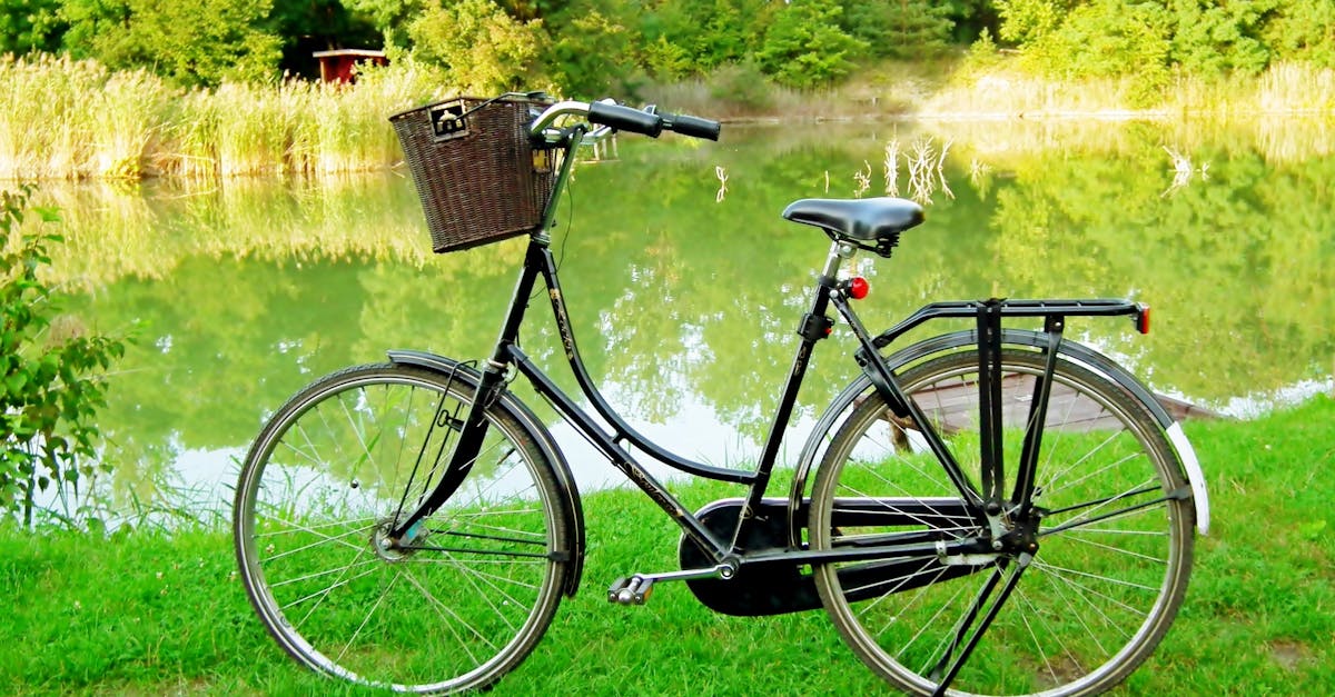 découvrez schumi bike, votre destination pour des vélos de qualité alliant performance et confort. parfait pour les passionnés de cyclisme urbain et sportif.