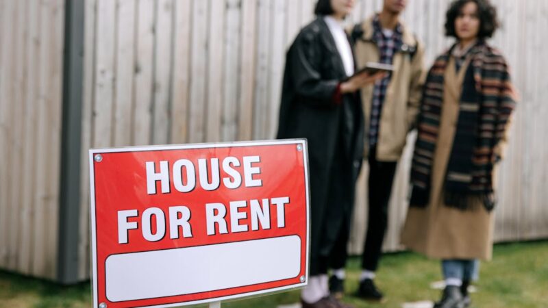 Leasing social à 100 € par mois : découvrez des offres encore plus intéressantes comme la Citroën e-C3 à seulement 54 €