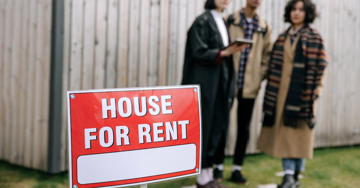 Leasing social à 100 € par mois : découvrez des offres encore plus intéressantes comme la Citroën e-C3 à seulement 54 €