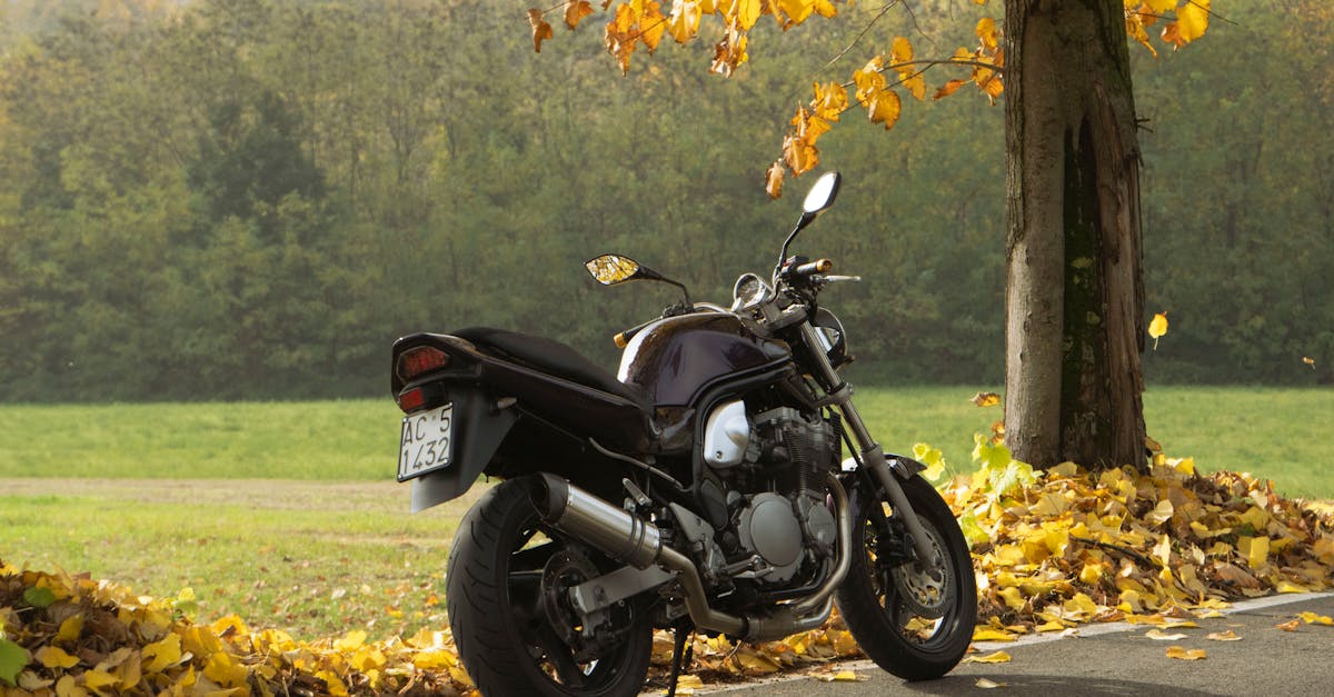 Découvrez le Suzuki Vitara 2024 : un petit SUV à considérer, presque au même prix qu’un Duster