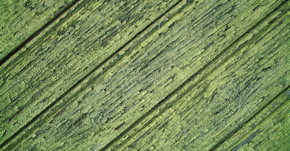 découvrez tout sur l'acquisition : stratégies, conseils et étapes clés pour réussir vos achats ou acquisitions d'entreprise.