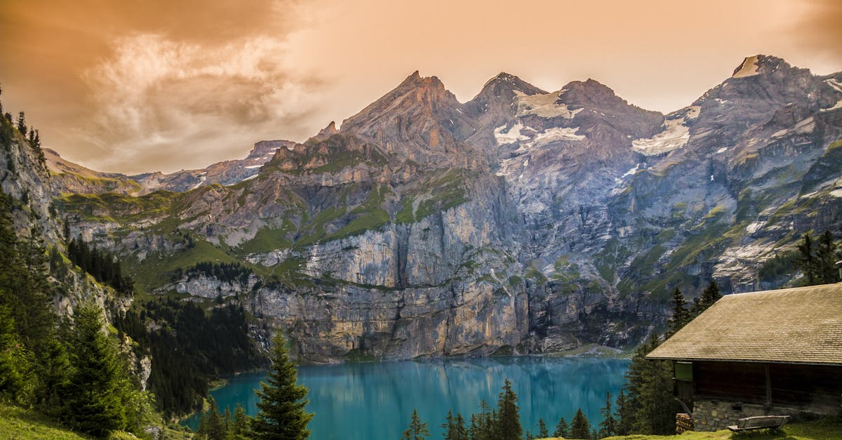 découvrez l'alpine a290, une montre élégante alliant design vintage et performance moderne pour un style unique au poignet.