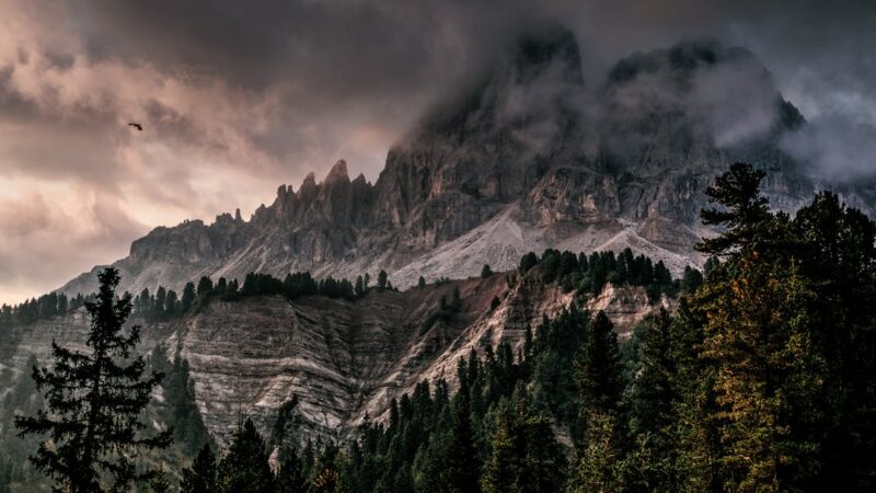 La nouvelle Alpine A290 : une digne héritière des mythiques Renault 5 Alpine et R5 Alpine Turbo ?