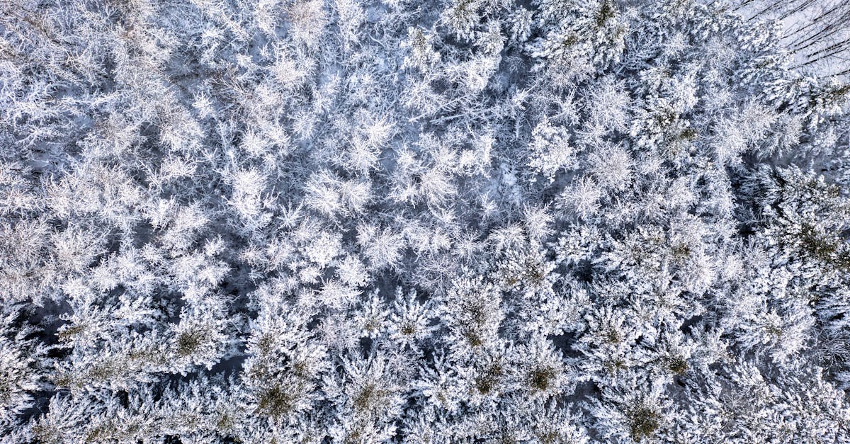 découvrez tout sur charles leclerc, pilote de formule 1 talentueux, ses performances, sa carrière et ses dernières actualités.