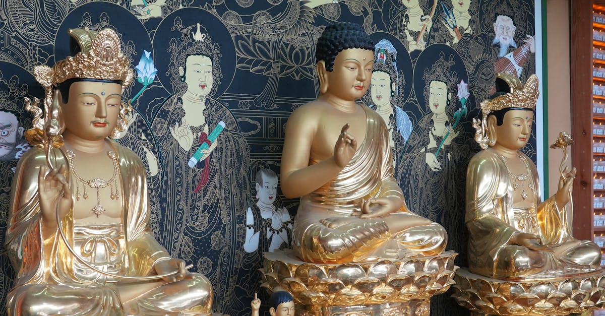 découvrez la citroën ami, le véhicule électrique ultra-compact, agile et écologique, idéal pour la ville et les trajets courts.