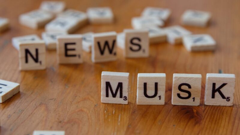 Elon Musk : “Un véritable imbécile, aussi intelligent qu’un sac de briques