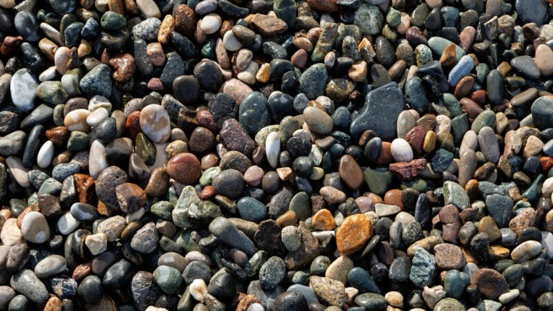 Découvrez notre guide d’achat pour choisir le monospace idéal