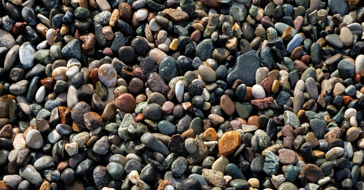 Découvrez notre guide d’achat pour choisir le monospace idéal