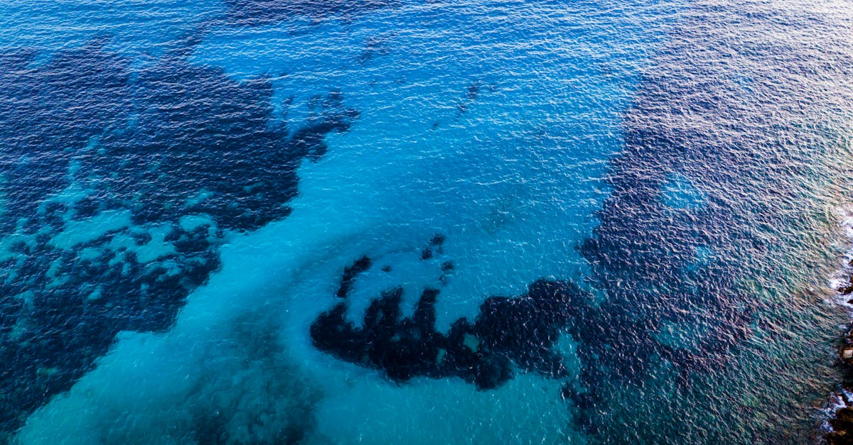 découvrez top gear france, l'émission incontournable dédiée aux passionnés d'automobiles, avec tests, nouveautés et aventures motorisées.