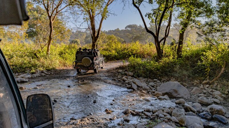 le marché de l’occasion du Suzuki Jimny : une évaluation complètement décalée