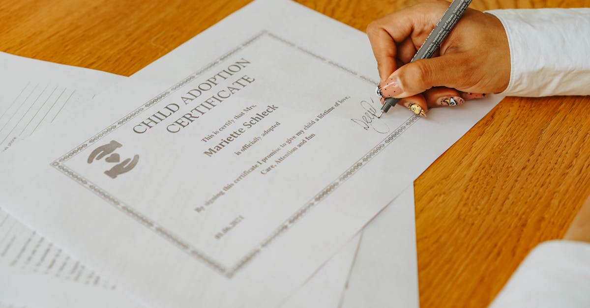 Tout savoir sur la carte grise : guide complet pour comprendre votre certificat d’immatriculation