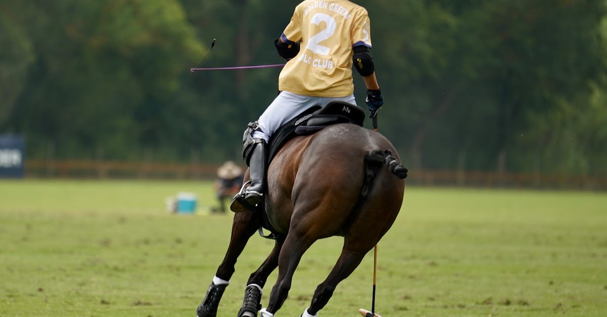 découvrez la volkswagen polo 1.6 tdi 90 dsg 7 confortline de 2010 : une citadine dynamique et économique avec un confort optimal et une transmission automatique fluide.
