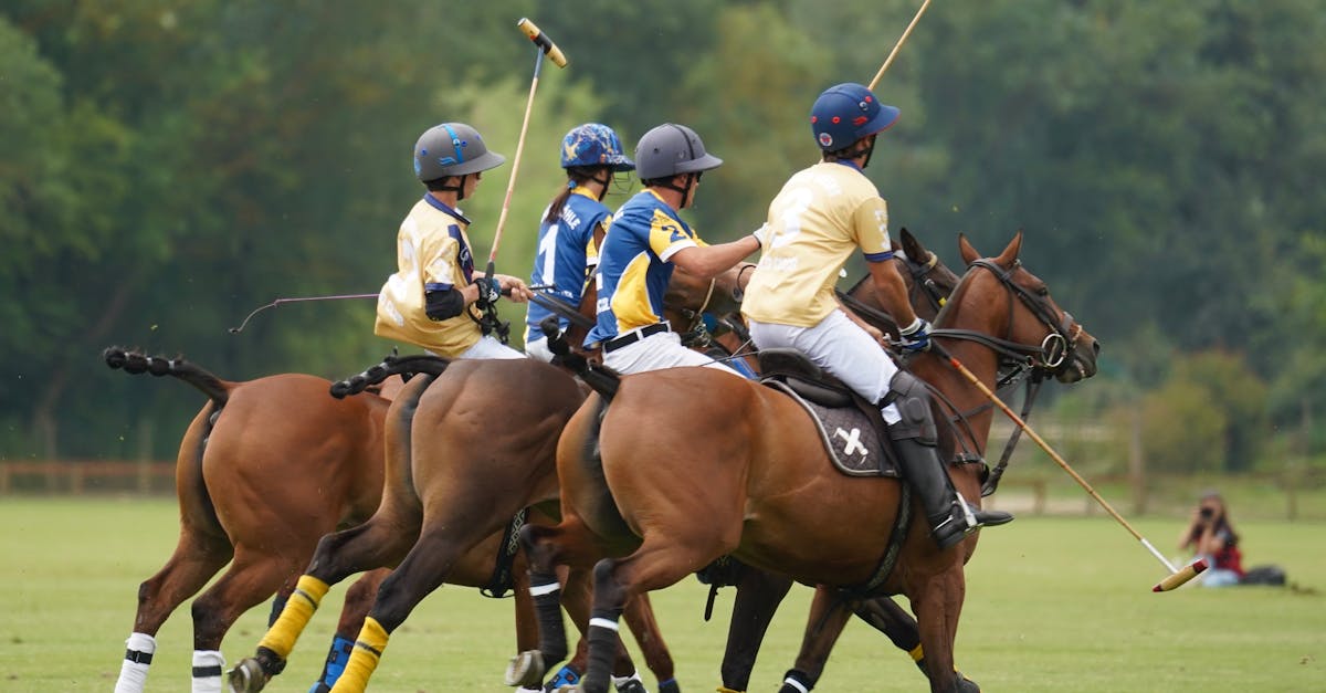 découvrez la volkswagen polo 1.6 tdi 90 dsg 7 confortline de 2010, une citadine économique et confortable, équipée d'une transmission automatique et idéale pour une conduite urbaine agréable.